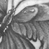 Butterfly Moth Tattoo