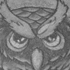 Eule Owl Oldschool Tattoo