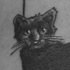 Katze Tattoo Scratch Black